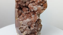 PXL_20230905_124309648.PORTRAIT