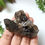 Thumbnail: Smoky Quartz Cluster