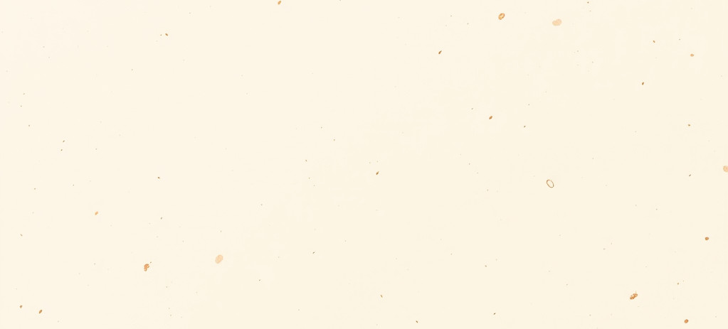 tan oatmeal off white colored background with small neutral flecks throughout.jpg