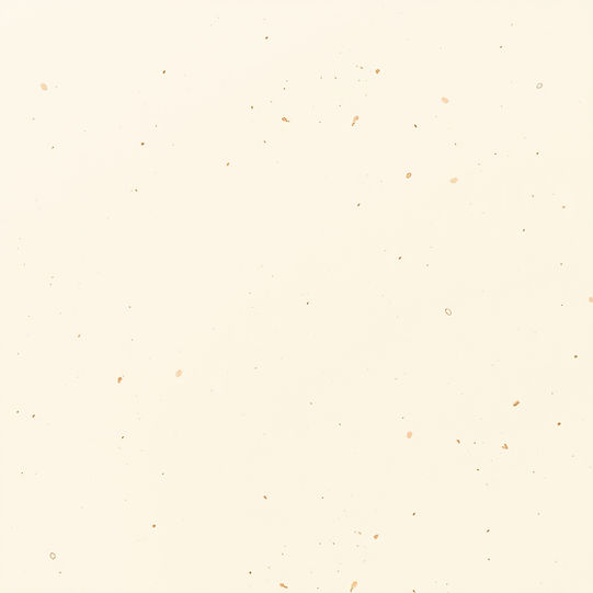 tan oatmeal off white colored background with small neutral flecks throughout.jpg