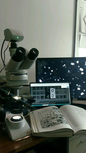 Who Are Cytotechnologists?