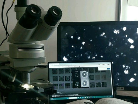 Who Are Cytotechnologists?