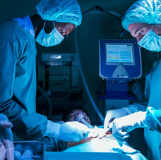 Is a full-body transplant possible?