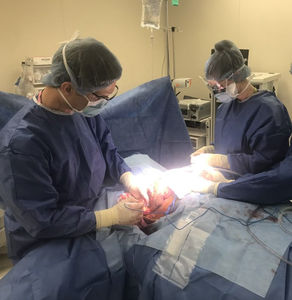 The important job of Physician Assistants 