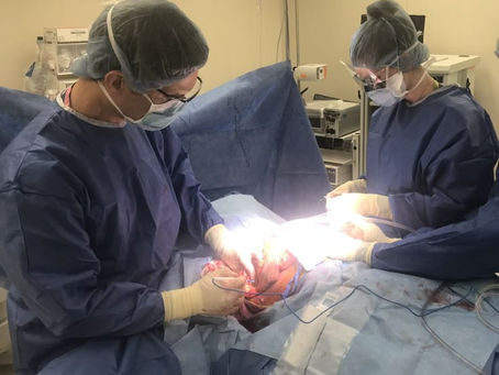 The important job of Physician Assistants 