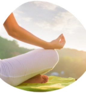 Méditation de Pleine Conscience (MBSR) M