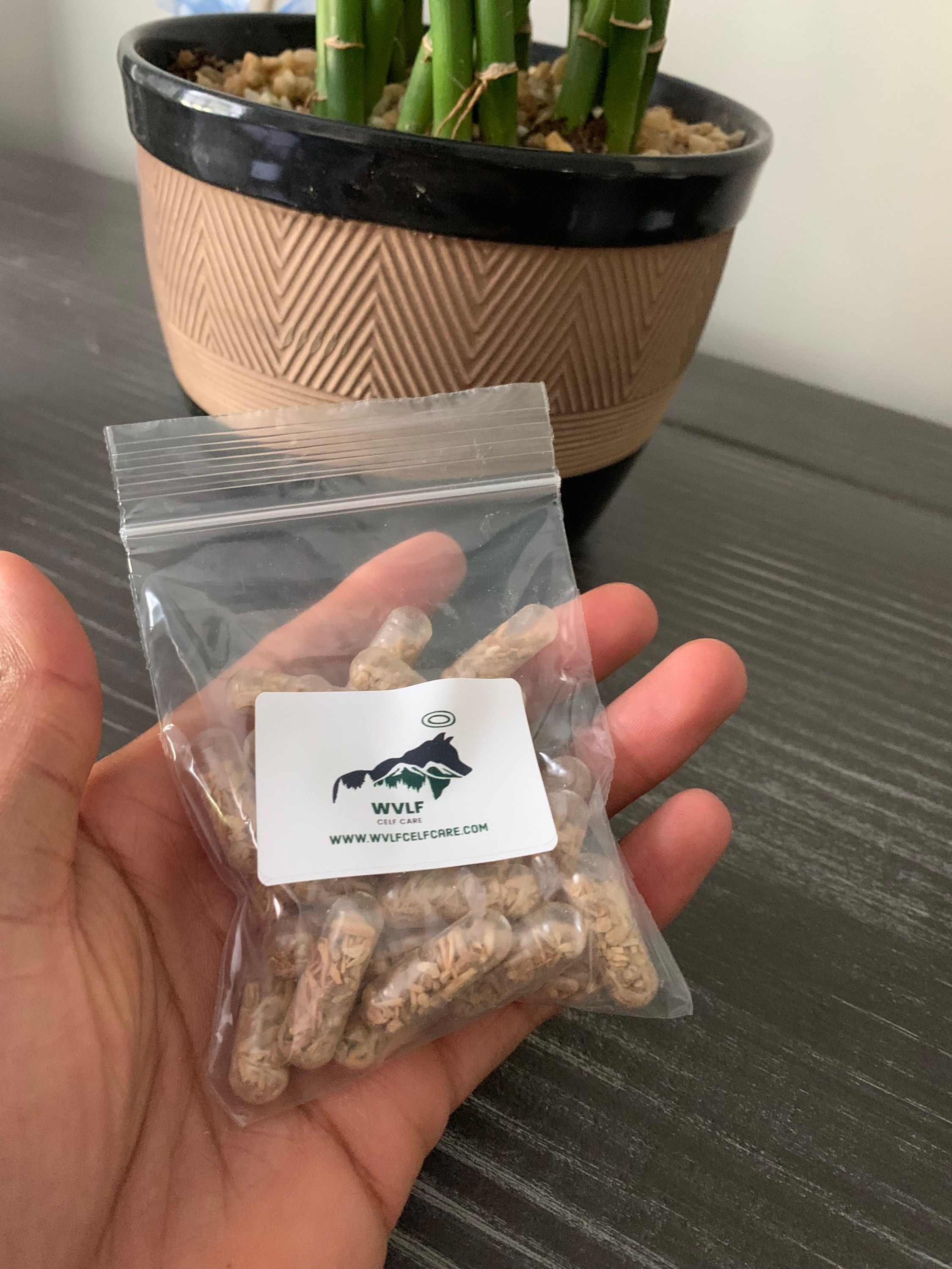 WVLF 'Ghanda ( Ashwaghanda) 500Mg