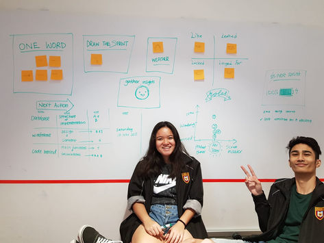 Sprint Review Meeting