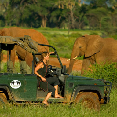 Wildlife encounters inspired by Sir David Attenborough