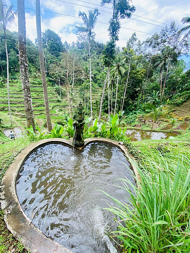 heart water fountain-2.jpeg