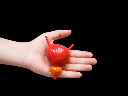 The Sexy Prostate by Charlie Clickman, Ph.D.