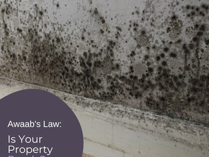 mould in a house