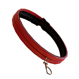 DogCollar.jpg