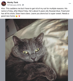 250212 Screenshot 2025-02-12 at 8.07.03 AM