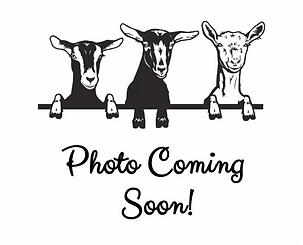 Photo_Coming_Soon_-_picture_6c3adf40-e6b0-451b-814e-b5b88140a66f_grande.webp