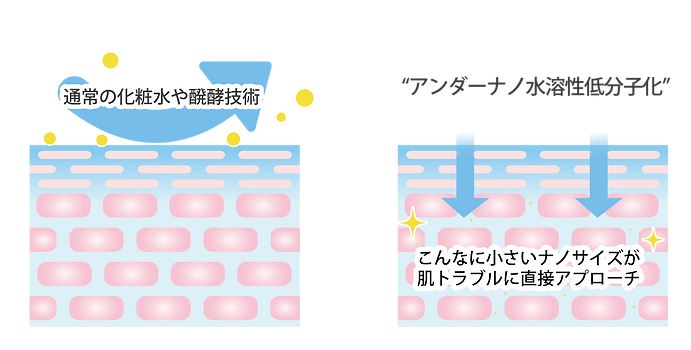 setsumei-02.png