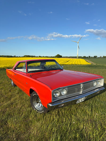 Dodge Coronet bei Sonnenschein in Timmaspe