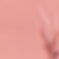 13.png