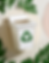 BBSAC LOGO (2).png