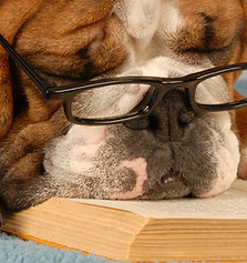 Bespoke Behaviours FAQ