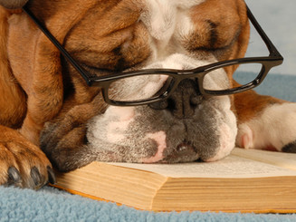 Smart Dog