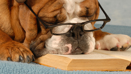 What Can I Say? How to Give Writing Feedback to Someone You Love