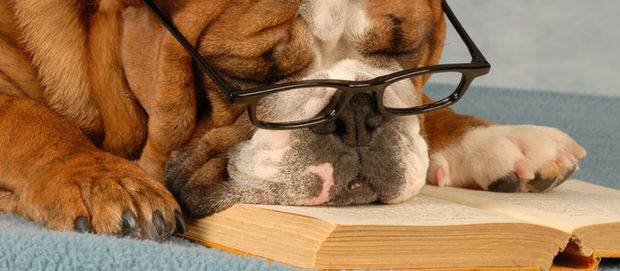 Digressions, non-dits & qu’en-dira-t-on #10 : Quand l'adaptation dépasse le livre...