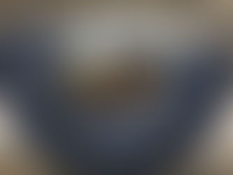 Snowdrop - Commentary