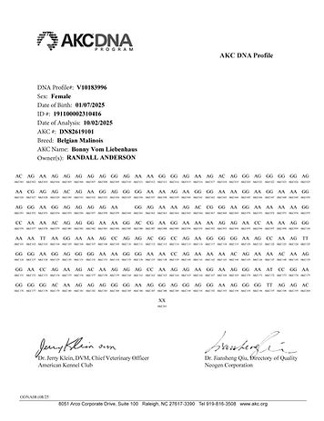 AKC SNP2 DNA Profile Results Bonny Vom Liebenhaus V10183996 (1).jpg