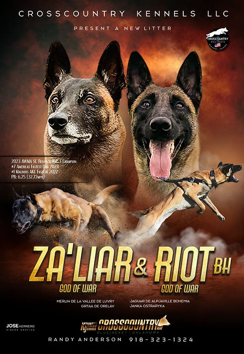 Litter Anouncement Riot x Laser.JPG