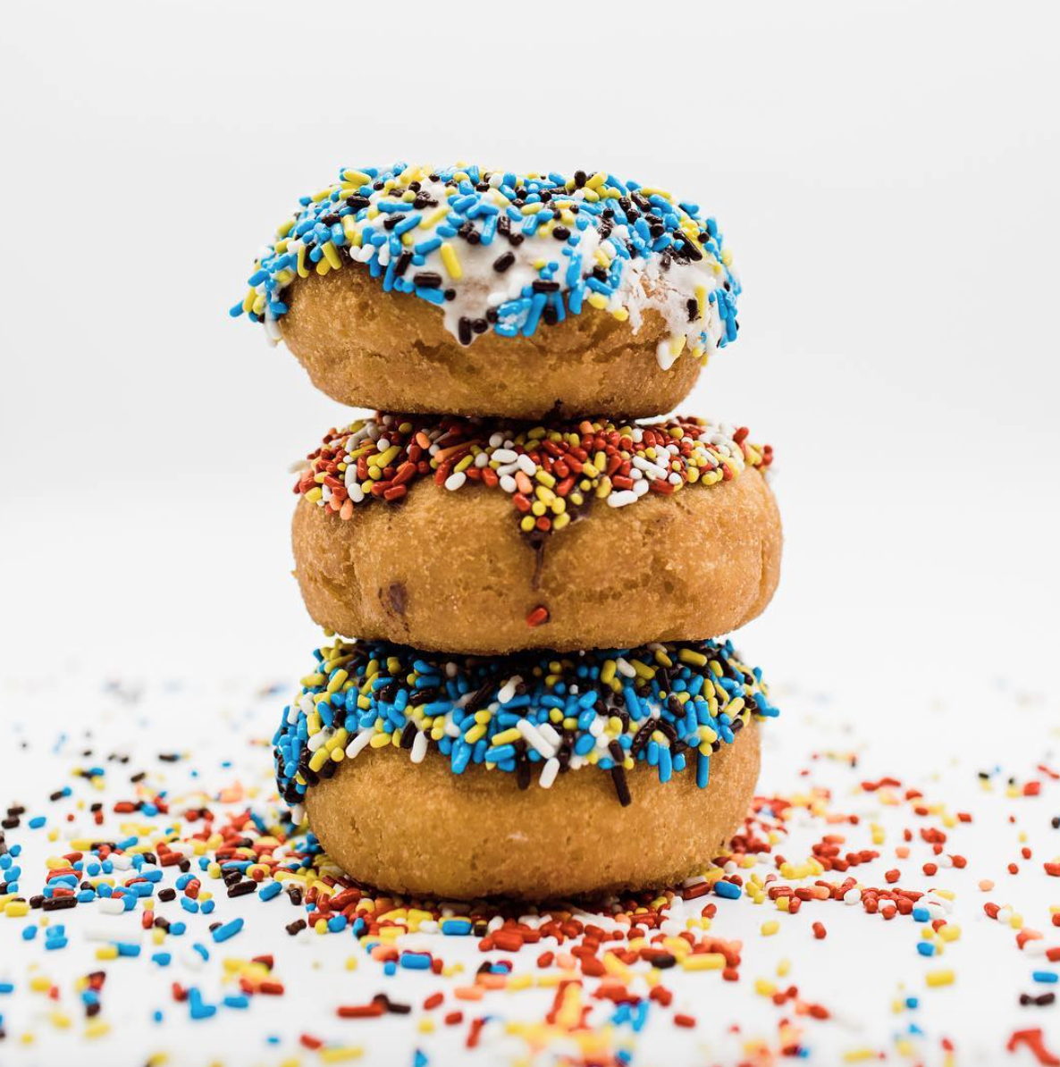 Cardigan Donuts
