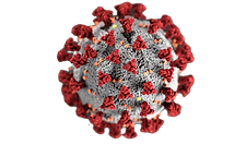This illustration, created at the Center