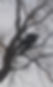 20170325_174425.jpg