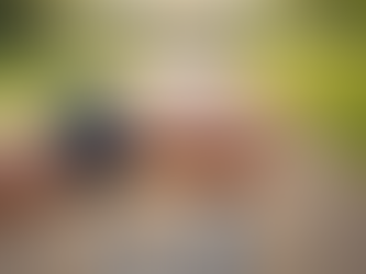 Come Perdere Peso Camminando: La Guida Completa ai Benefici, al Consumo Calorico e ai Consigli Efficaci