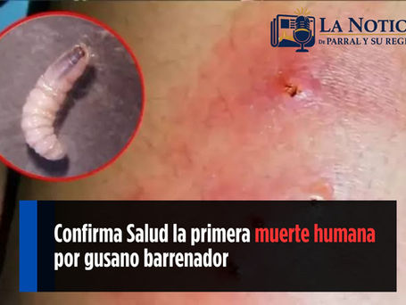 Primera muerte por gusano barrenador en México: la amenaza llegó del sur