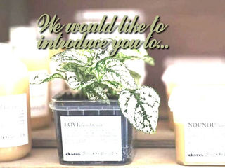 We Would Like To Introduce You To...
