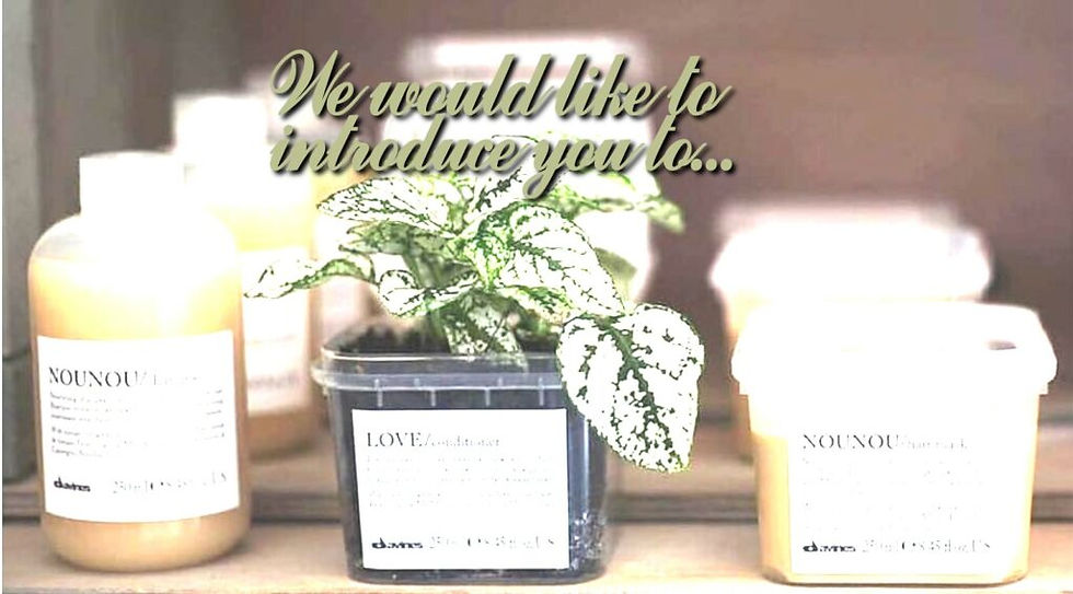 We Would Like To Introduce You To...