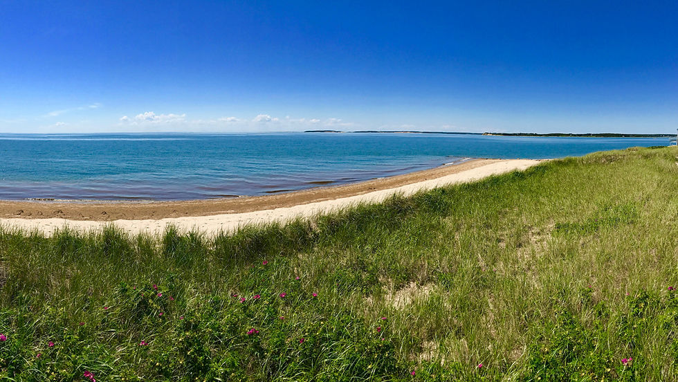 The First Encounter Realty Group merges with Cape Cod Bliss