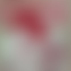 115: New Release of A Podcast About Riley