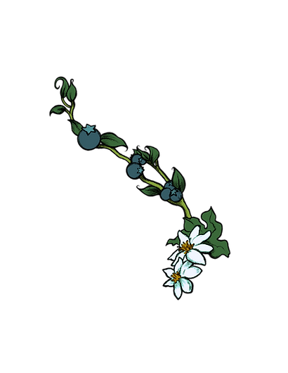 vines.png