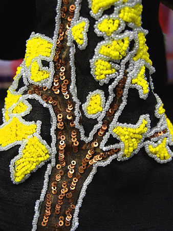Thumbnail: Miss Bhutan 2009