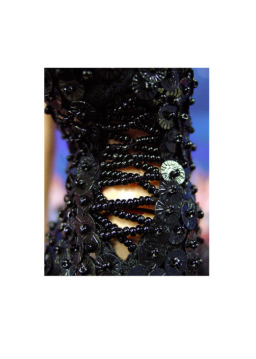 Thumbnail: Miss Michigan 2006