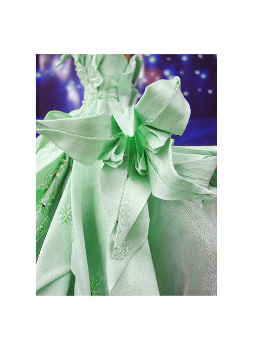 Thumbnail: Miss Chicago 2007