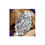 Thumbnail: Miss Colorado 2007