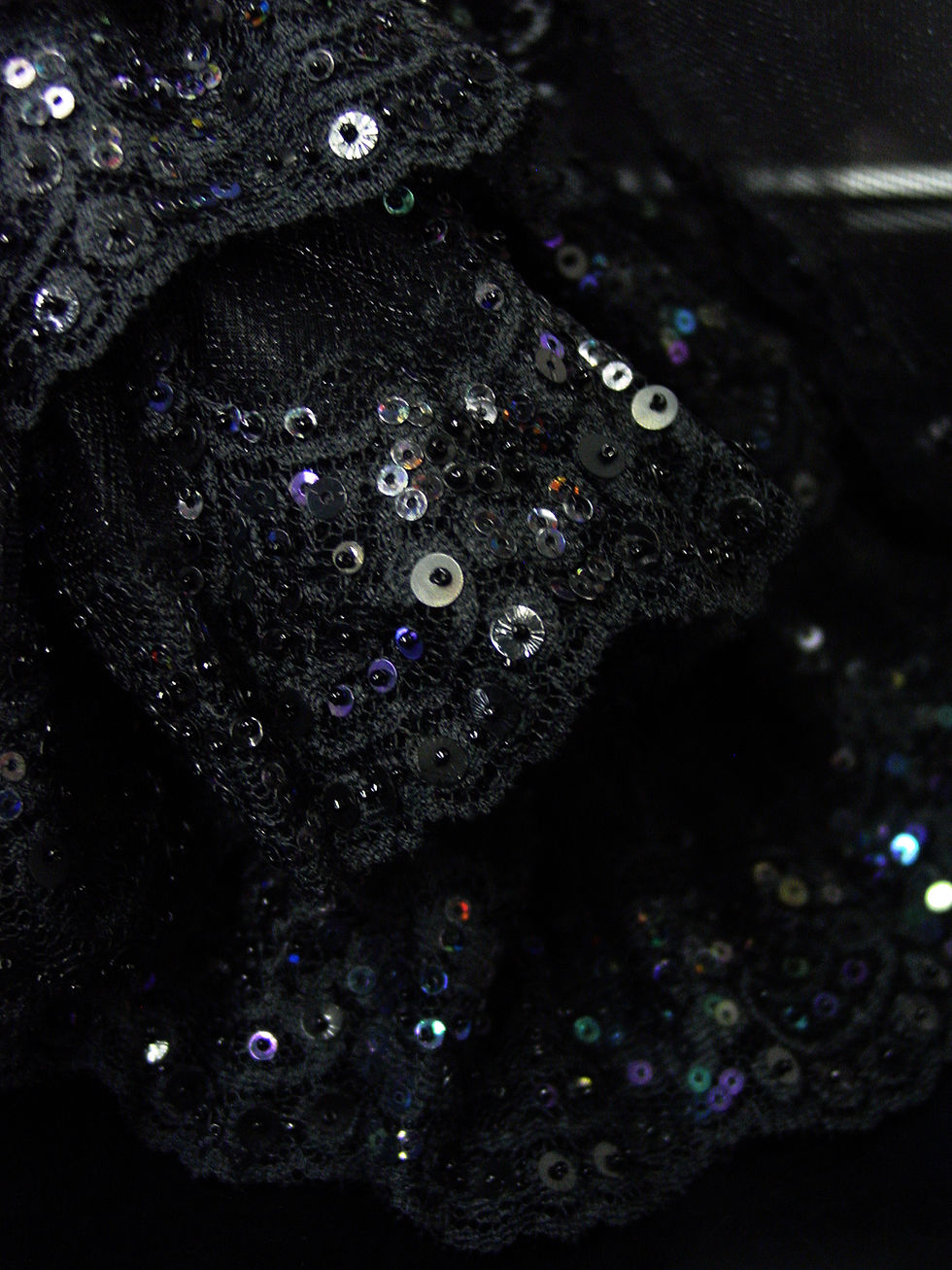 Thumbnail: Miss Transylvania 13/14