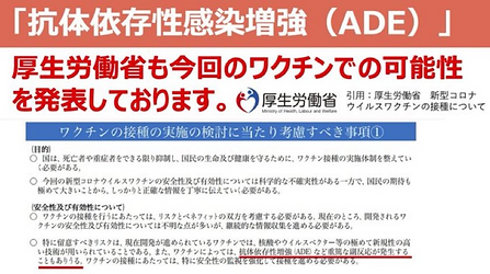 スクリーンショット (165).png