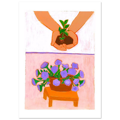 Wild Petunia
