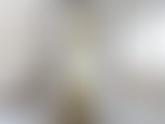 January 2022 - A Window Treatment for Every Room