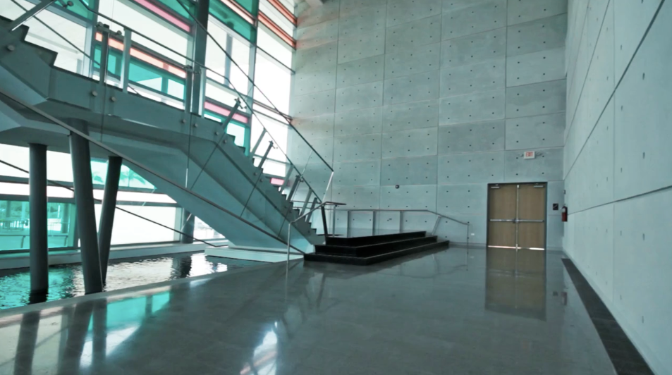 BELLAS ARTES DE HUMACAO