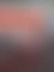 "A Cedae sempre foi uma empresa que deu lucro para o Estado", afirma Martha Rocha